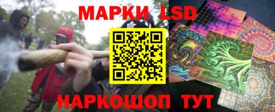 стафф Славгород