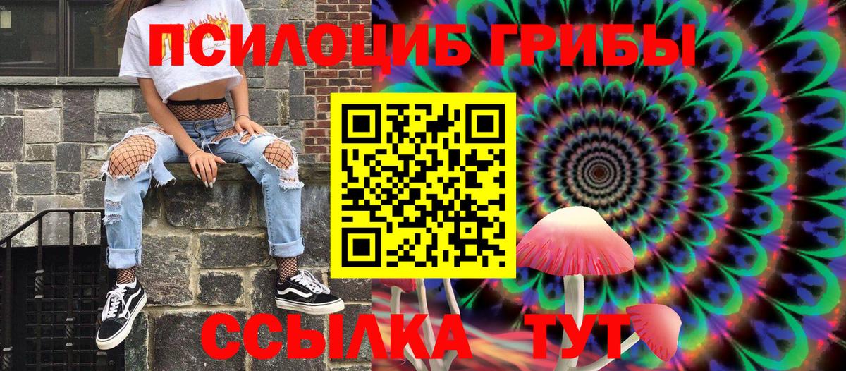 Псилоцибиновые грибы Cubensis Нефтеюганск